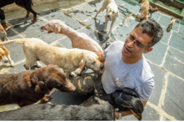 Mężczyzna, który opiekuje się ponad 700 psami