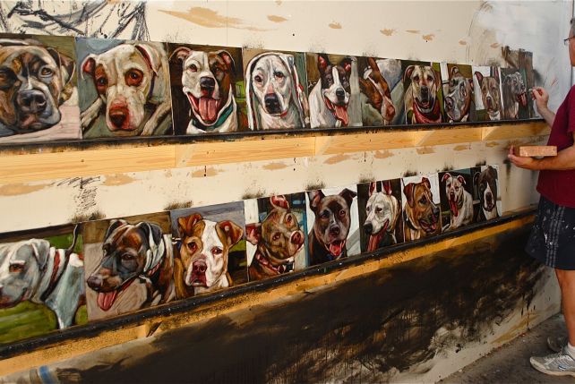 Mark Barone i jego niezwykłe portrety psów ze schroniska