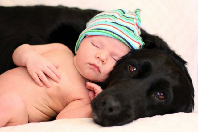 Dziecko i pies to duet idealny