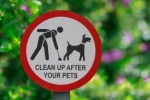 Jak powstrzymać psy przed załatwianiem się na trawniku?