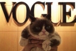 Grumpy Cat gościem w redakcji Vogue