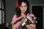Katy Perry i jej słodka Kitty Purry