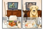 Oglądanie telewizji przed i po