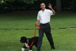Barack Obama na spacerze z Bo