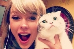 Taylor Swift i jej ukochany kociak! Fot. Instagram screen