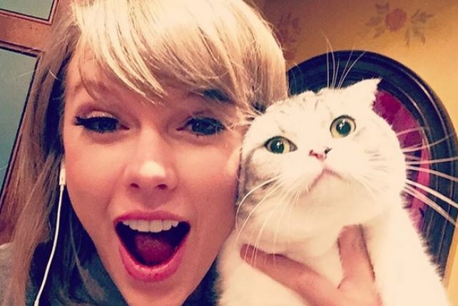 Taylor Swift i jej ukochany kociak! Fot. Instagram screen