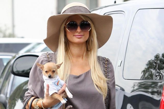 Paris Hilton często można spotkać z psem na ręku