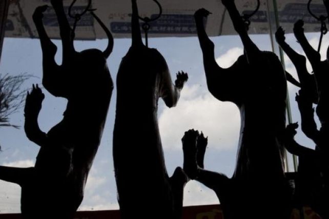 Jedzenie psiego mięsa w Chinal jest nadal niestety legalne!