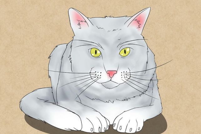 Realistyczny portret kota