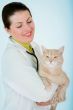 Podawanie kotom lekarstw wymaga często stosowania różnych sztuczek