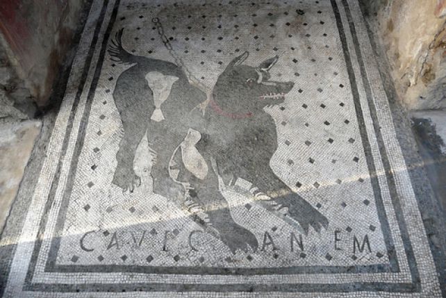 Mozaika z rzymskich Pompejów głosząca: Cave canem! - Strzeż się psa!