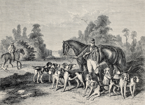 Rycina z francuskiej gazety przedstawiająca psy na polowaniu, XIX wiek.