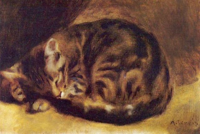 Auguste Renoir, Śpiący kot, 1862 r.