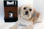 Wystarczy podłączyć odtwarzacz muzyki - My Pet Speaker, 149 $