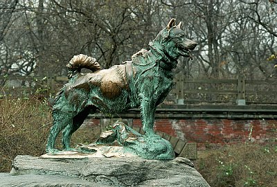 Pomnik psa Balto w Nowym Jorku.