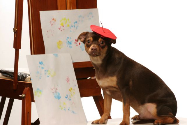 Coraz więcej psów zajmuje się malowaniem obrazów