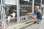 Joanna Krupa w schronisku na warszawskim paluchu. Modelka często wspiera akcje adopcji zwierząt, współpracuje z organizacją PETA.