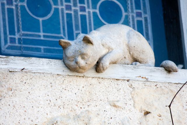 Rzeźby kotów kryją się w oknach, na murach i w zaułkach.
