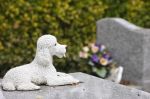 Cmentarz dla psów we francuskim Asnieres, Hauts de Seine.