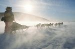 Dużym wyzwaniem podczas Iditarod są zmienne warunki pogodowe