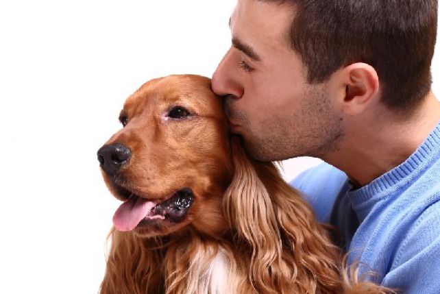 Psa i ludzi łączą hormony