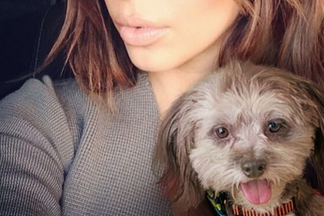 Kim Kardashian z bezdomnym psem