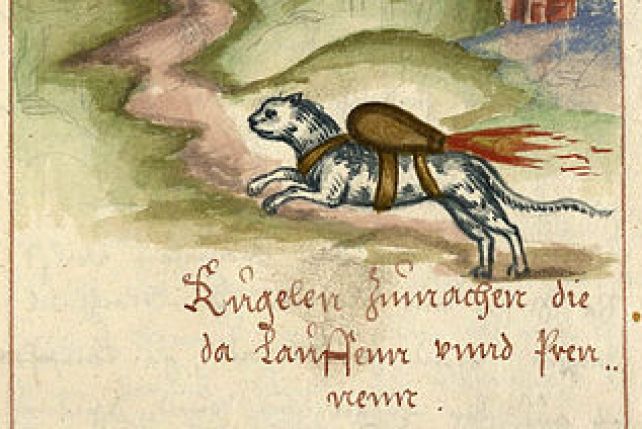 W XVI-wiecznym manuskrypcie znaleziono rysunki uzbrojonych kotów unoszących się w powietrzu, które zamierzano wykorzystać do wsparcia artylerii podczas wojen