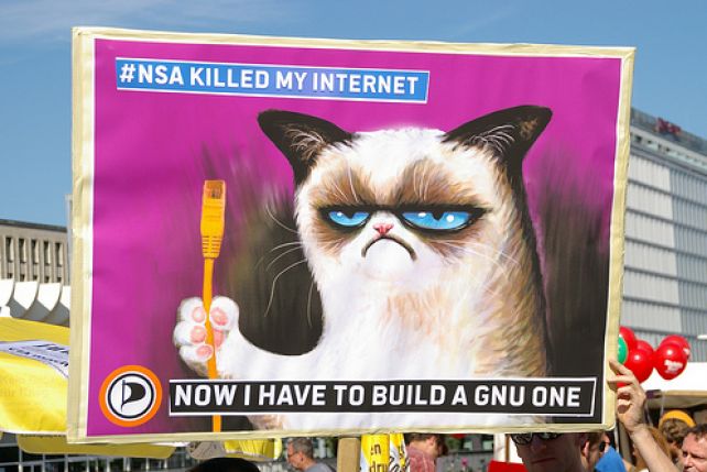 Wizerunek kota Grumpy wykorzystywany jest nawet podczas demonstracji