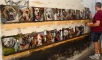 Mark Barone i jego niezwykłe portrety psów ze schroniska