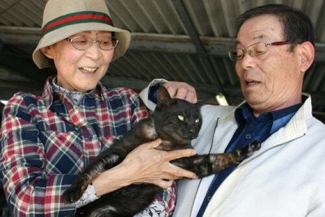 Odnaleziona kotka o imieniu Suika jest dowodem na to, że nie można tracić nadzieji