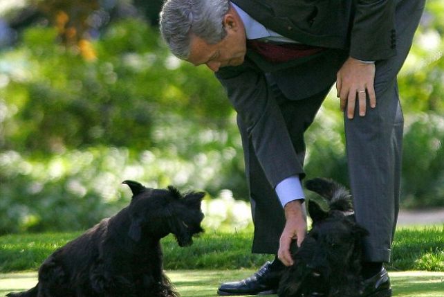 George Bush z ukochaną suczką