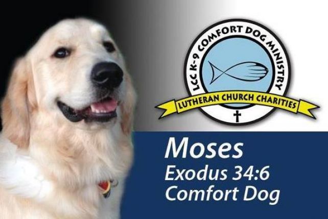 Psi terapueta o imieniu Moses