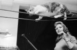 Brigitte Bardot kocha zwierzęta