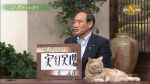 Kot w japońskich wiadomościach