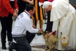 Papież podczas spotkania z cyrkowcami  w grudniu 2012 roku nie mógł się powstrzymać od krótkiej zabawy i głaskania dwóch małych lwiątek.