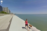 Pies na spacerze nad brzegiem jeziora Huron