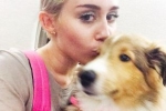 Miley Cyrus i jej nowy pies