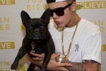 Z miłości do zwierząt znany jest również Justin Bieber