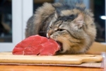 Połykanie dużych kawałków mięsa prowadzi do czkawki
