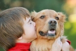 Pies dla dziecka z alergią? To możliwe!