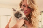 Taylor Swift ze swoim kotem.