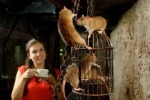 Kawiarnia Rat Cafe w Londynie